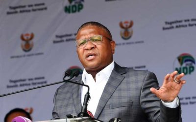 AfriForum: Cele must investigate Mbalula with the same vigour used to persecute the public during lockdown