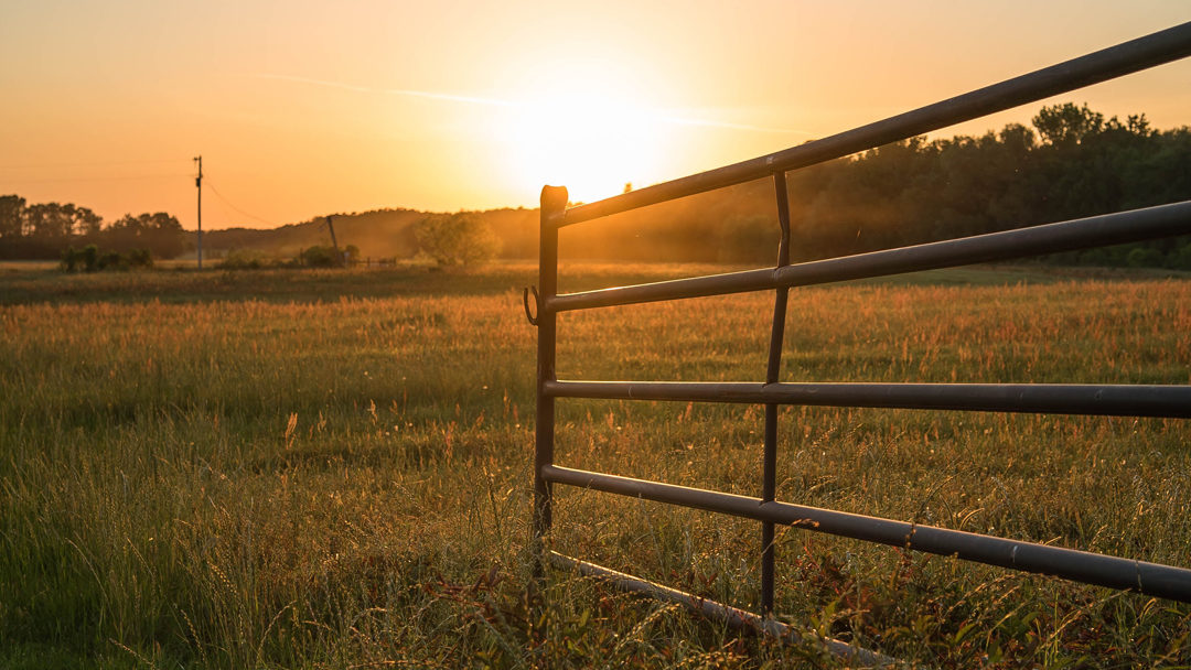 Addo and Kirkwood areas vulnerable to farm attacks