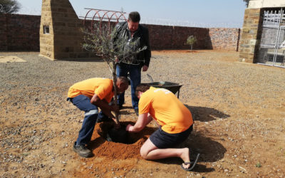 Boomplantmaand: AfriForum se Vryburg-tak dra by tot ’n groener toekoms