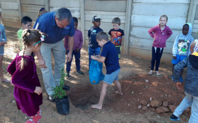 AfriForum plant bome by Laerskool Lydenburg