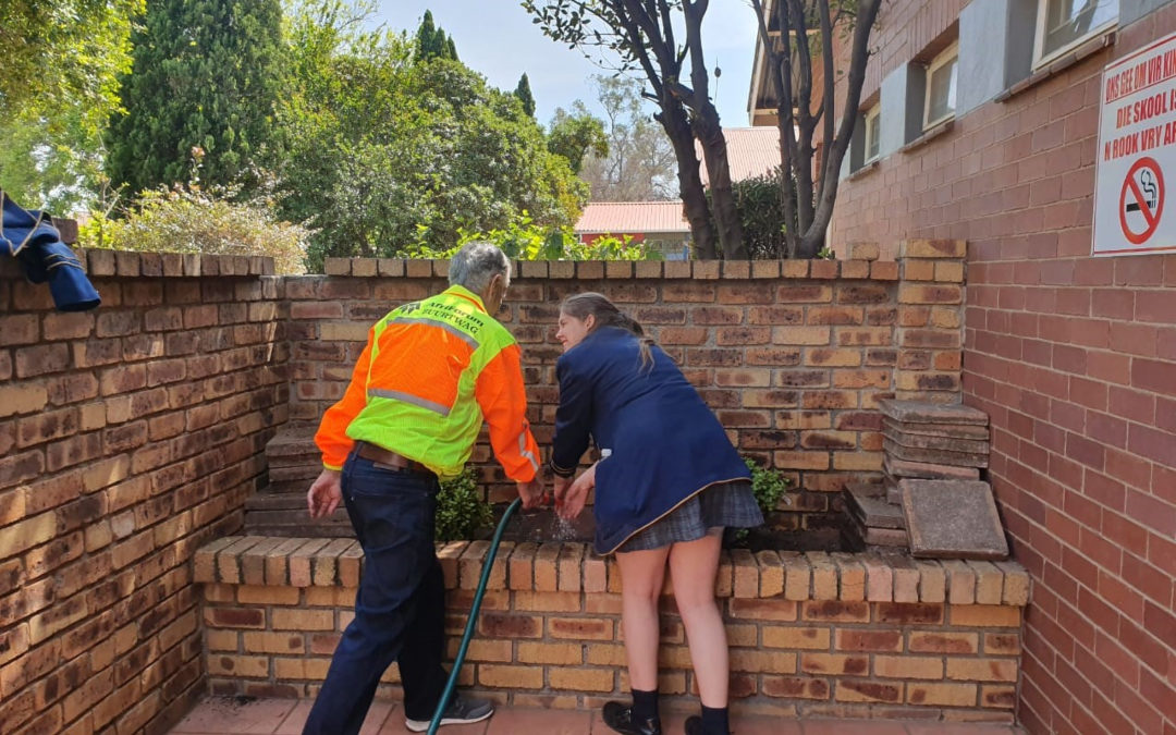 Arbour month: AfriForum contributes to a greener future