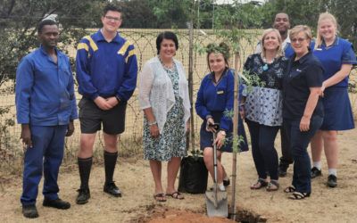 #YourTown campaign: AfriForum contributes to a greener future