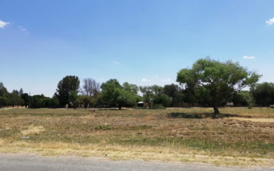 #OnsDorp-veldtog: AfriForum se Delareyville-tak maak park skoon