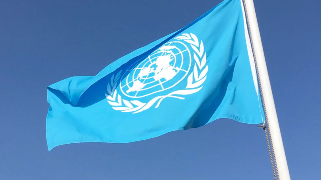 AfriForum versoek VN-hulp met ekonomiese herstel ná Covid-19-pandemie     