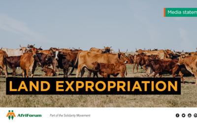 AfriForum needs public support against expropriation without compensation