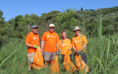 AfriForum werk hard om vleilande te probeer red