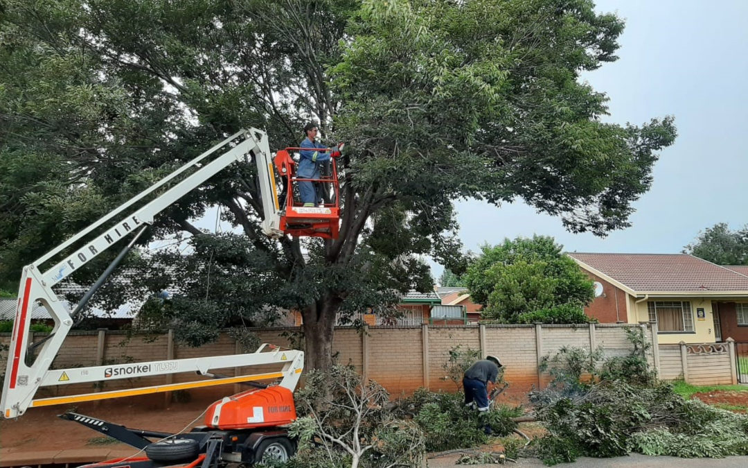 AfriForum-tak hou Sasolburg netjies