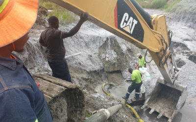 AfriForum verwelkom skoonmaak van begraafplaas
