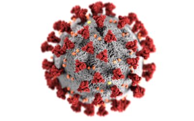 COVID-19 (koronavirus) en hoe dit ons as ouers en onderwysers raak