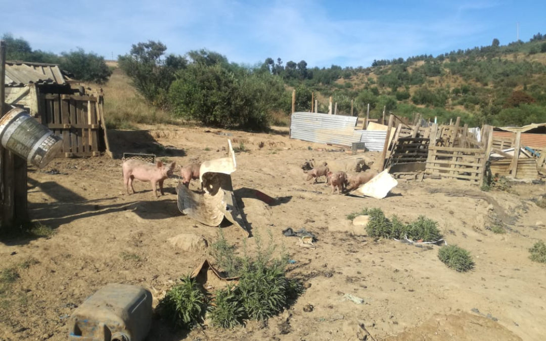 AfriForum bekommerd oor onwettige boerdery in Papegaaiberg Natuurreservaat