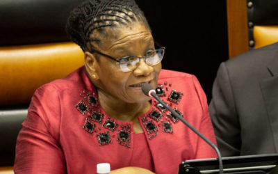 Lasbrief uit vir Thandi Modise se inhegtenisname in dieremishandeling-hofsaak