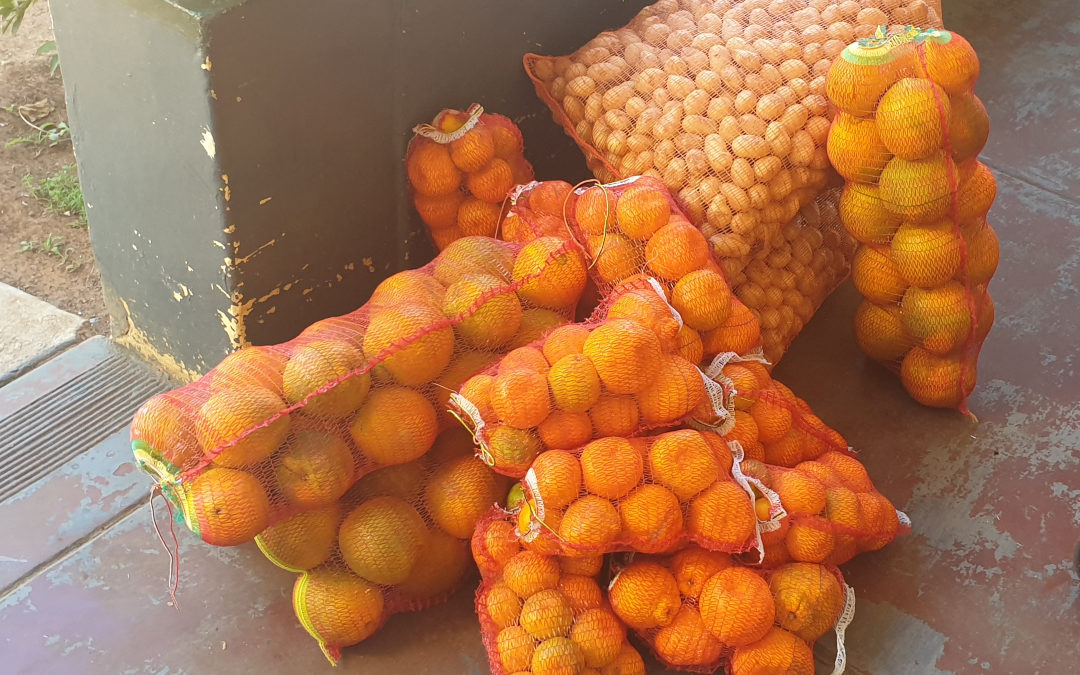 AfriForum se Bloemhof-tak skenk sitrus en aartappels