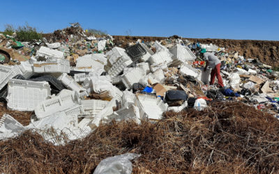 Free State landfill sites do not adhere to national standards