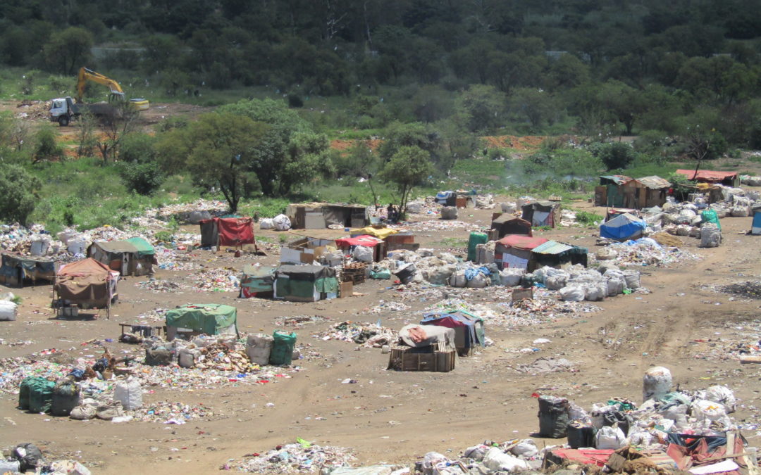 Limpopo’s landfill sites do not adhere to standards
