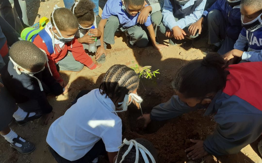 AfriForum se Keimoes-tak neem aan boomplantmaandprojek deel