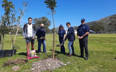 AfriForum se Overstrand-tak vier boomplantmaand