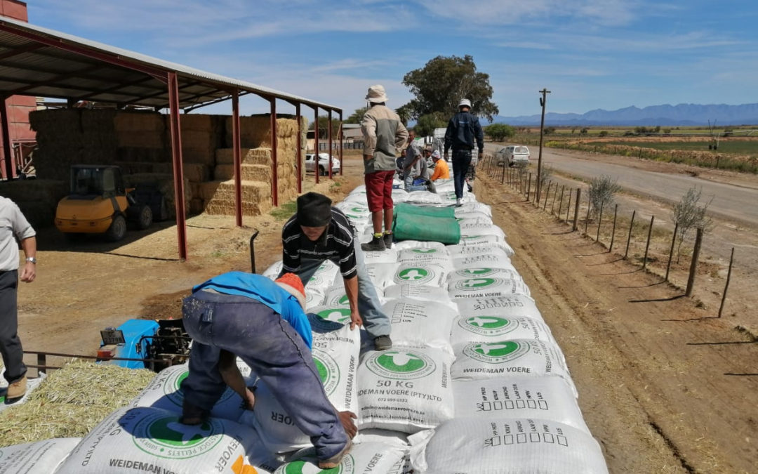 AfriForum en Saai skenk voer aan boere van Volmoed