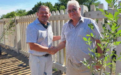 AfriForum se Bothaville-tak plant bome by skool