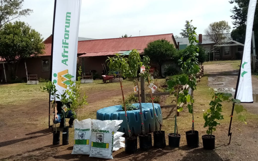 AfriForum se Meyerton-tak plant bome
