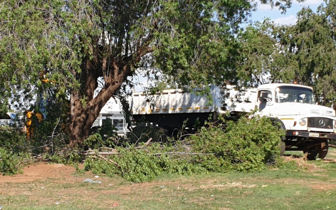 #OnsDorp-projek: AfriForum se Vaalharts-tak knap parkie en monument op