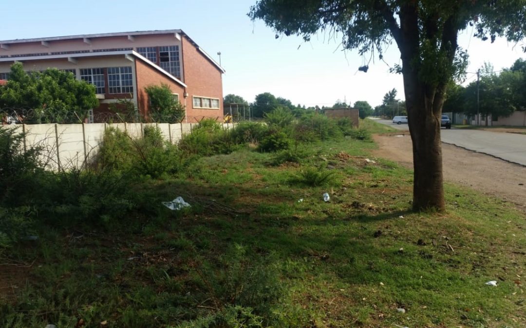 #OnsDorp-projek: AfriForum se Wolmaransstad-tak maak dorp skoon   