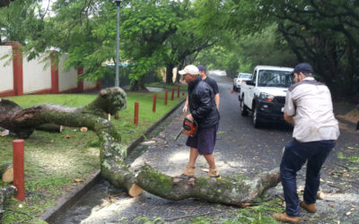 Sikloon Eloise: Buurtwagte verleen hulp tydens swaar reën
