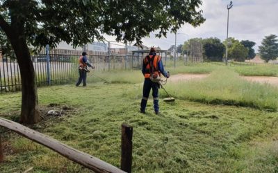 AfriForum se Centurion-tak sny meer as 150 ha gras in 2021