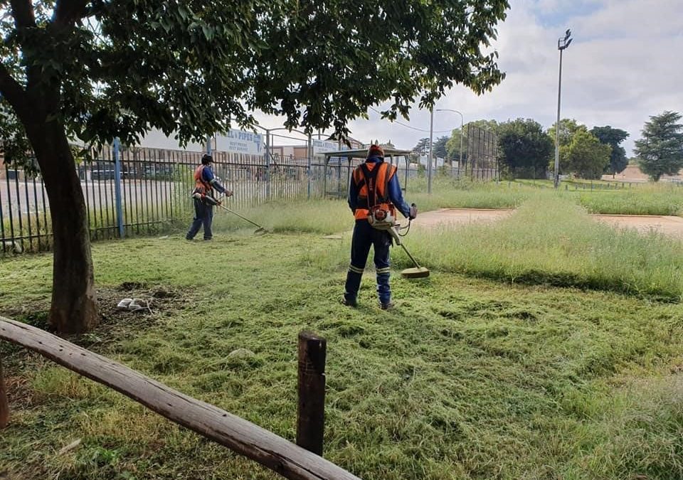 AfriForum se Centurion-tak sny meer as 150 ha gras in 2021