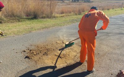 AfriForum’s Bethal branch repairs streets with hundreds of bags of tar; plants thousands of plants