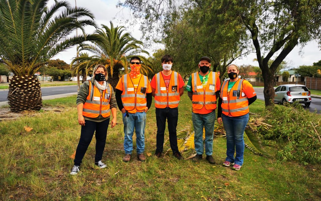 AfriForum improves area’s safety by pruning trees in Belville