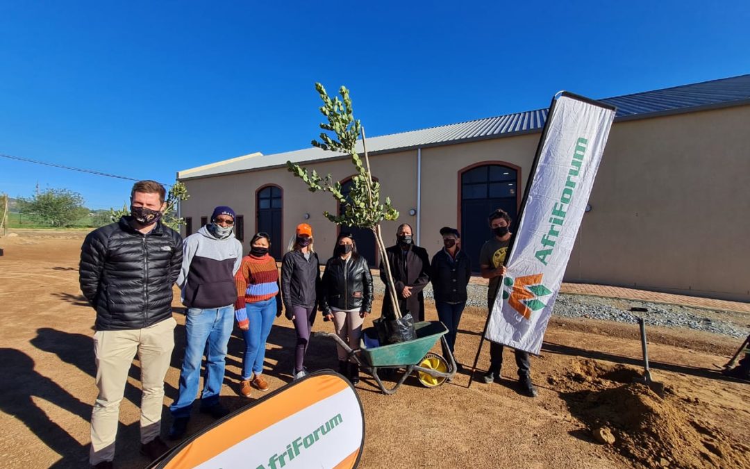 AfriForum se Malmesbury-tak plant bome