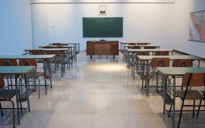 AfriForum moniteer skoleplasingsproses in Gauteng – departement antwoord vrae, maar probleme duik steeds op   